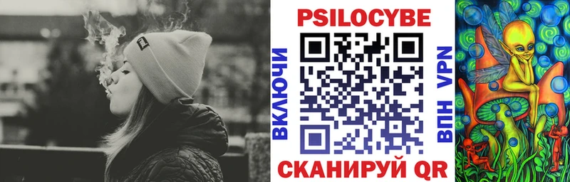 blacksprut зеркало  Сусуман  Галлюциногенные грибы Psilocybine cubensis 